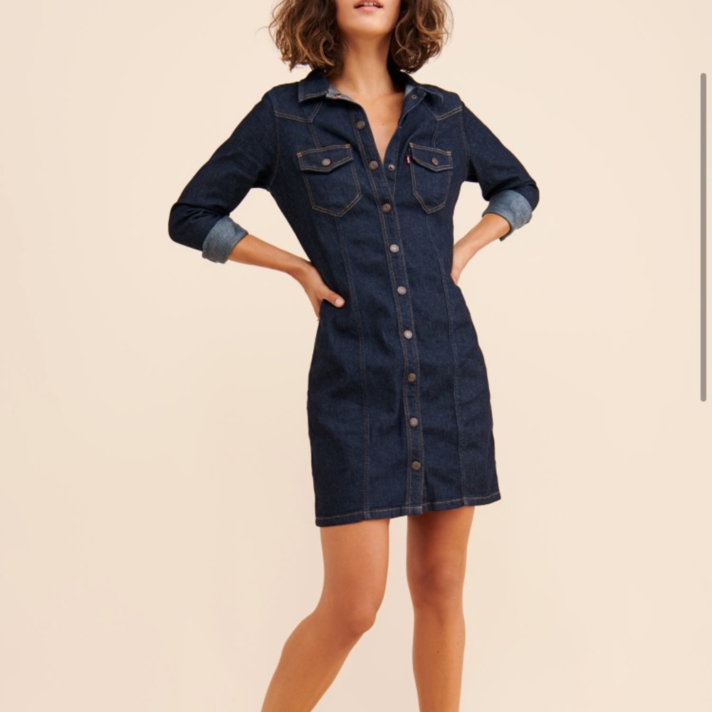 Gia Western Shirtdress